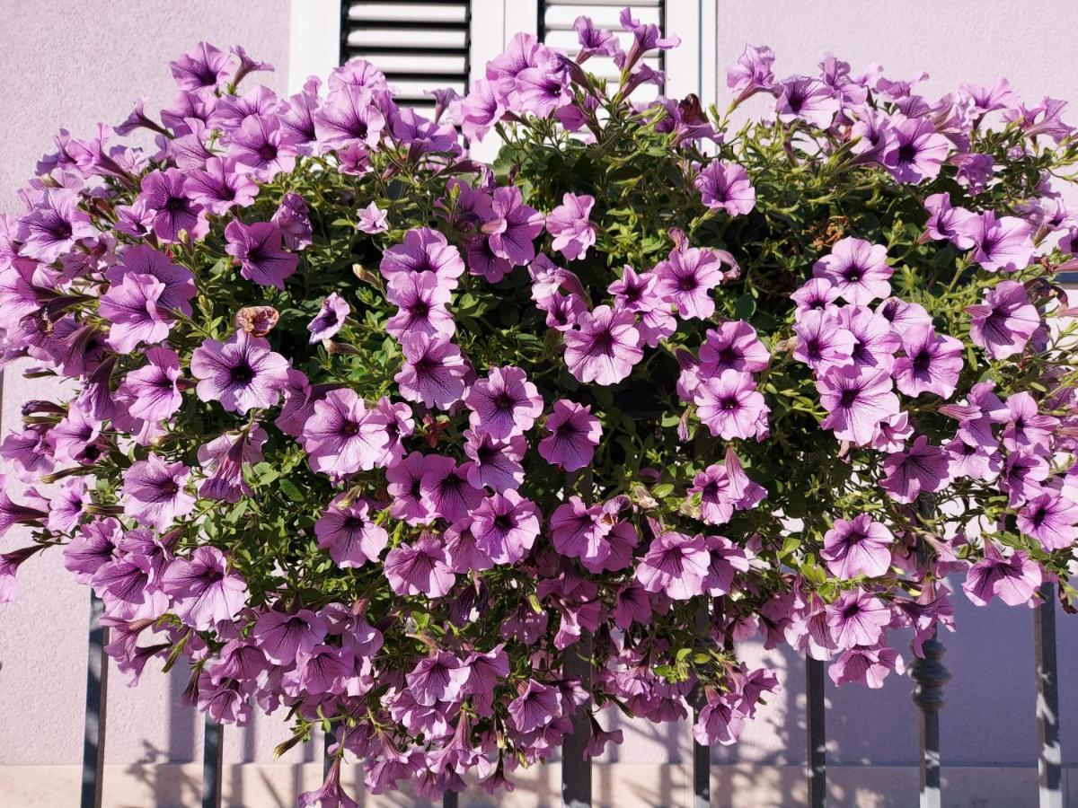 מאלי לוסיניי Villa Sommerzauber מראה חיצוני תמונה